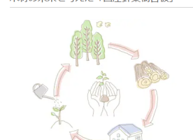木材の未来を考えた「国産針葉樹合板」